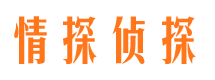 惠农市侦探调查公司